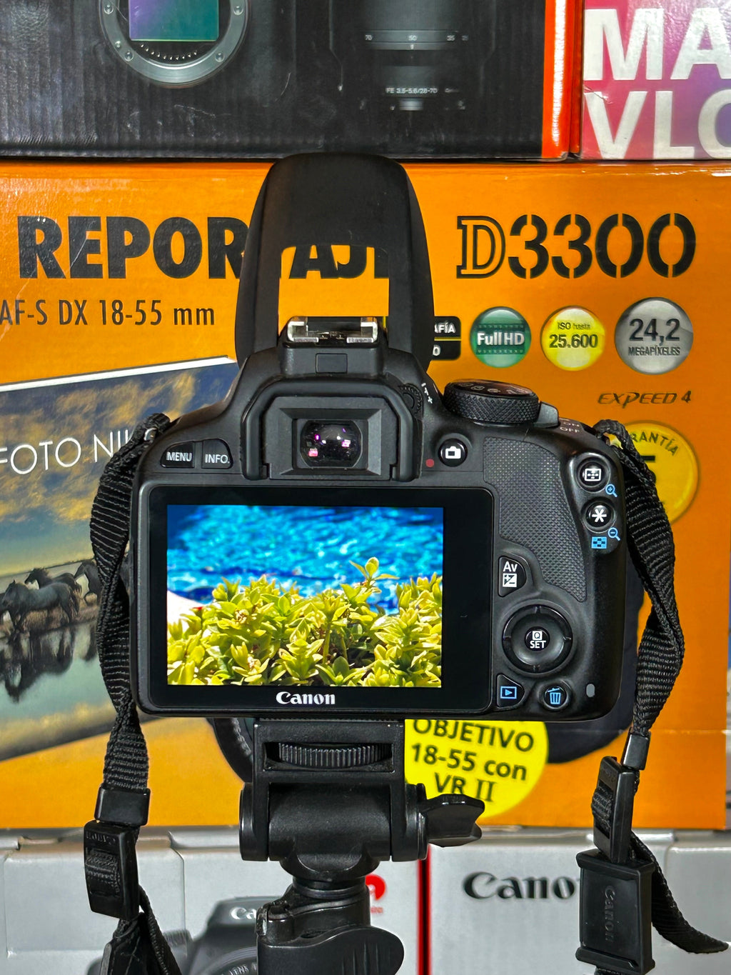 Canon EOS 100D + Canon 18-55mm