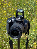 Canon EOS 4000D + Canon 18-55mm