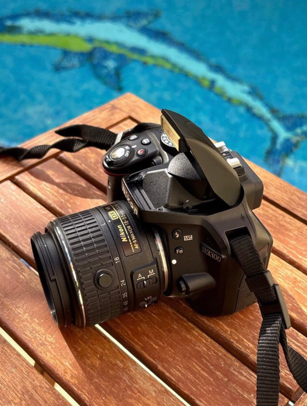 Nikon d3300 + Nikon 18-55mm