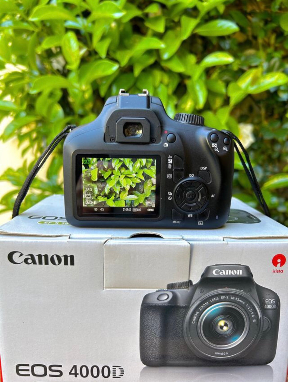 Canon EOS 4000D + Canon 18-55mm