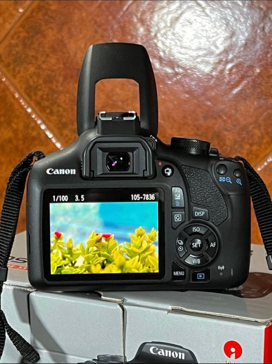 Canon EOS 2000D + Canon 18-55mm